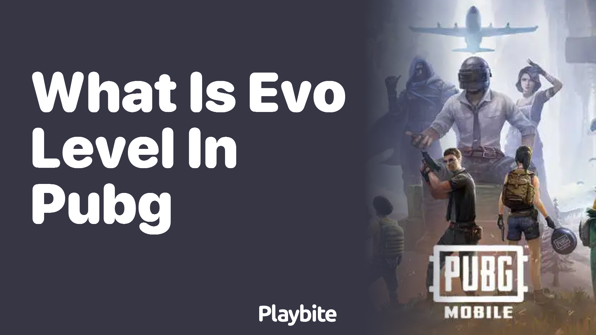 What is Evo Level in PUBG Mobile?