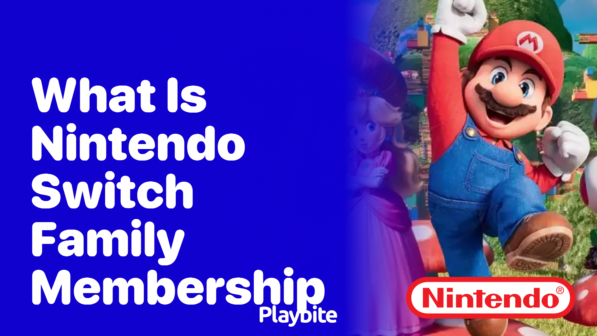 What Is Nintendo Switch Family Membership?