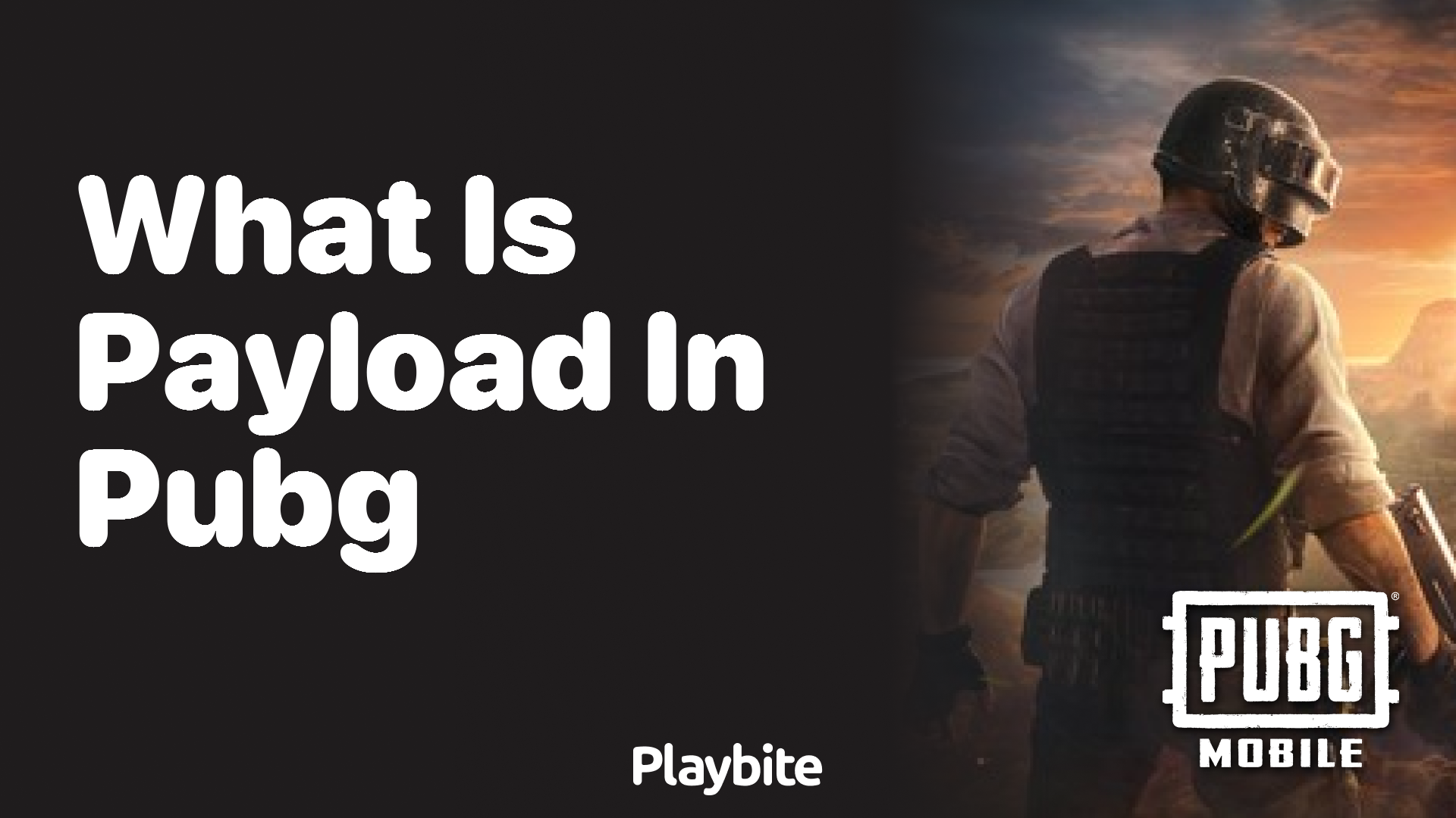 What is Payload in PUBG Mobile?