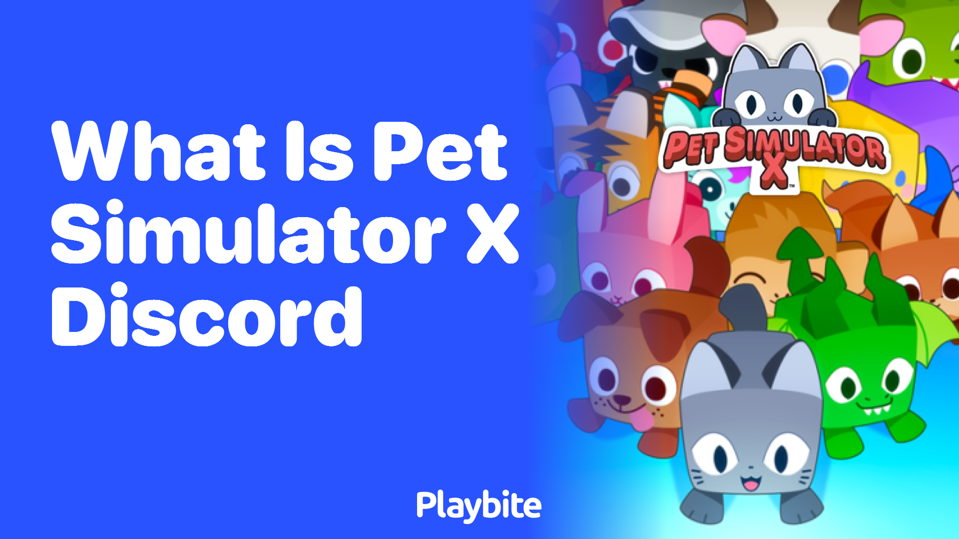 What is Pet Simulator X Discord?