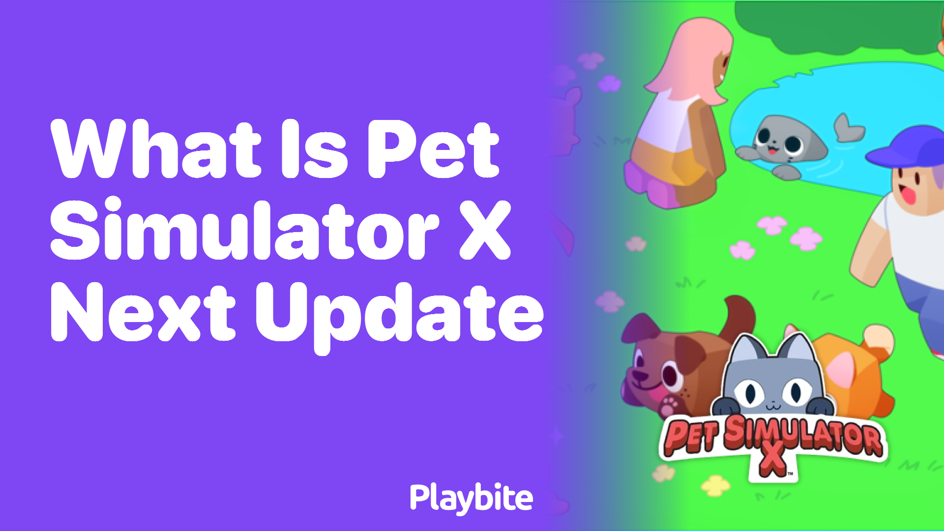 What&#8217;s Coming in the Next Update for Pet Simulator X?