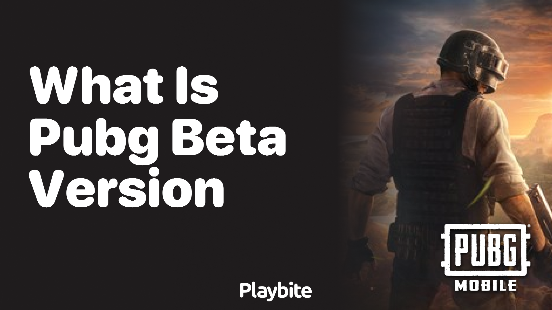 What is PUBG Beta Version?