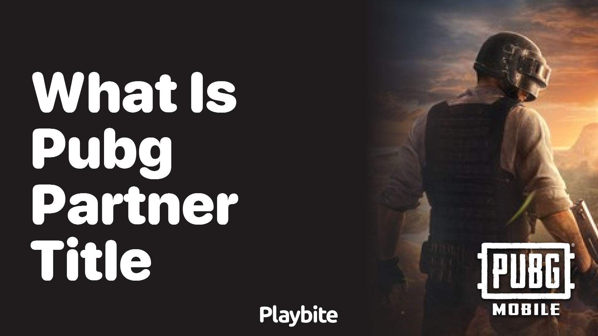 What Is the PUBG Partner Title?