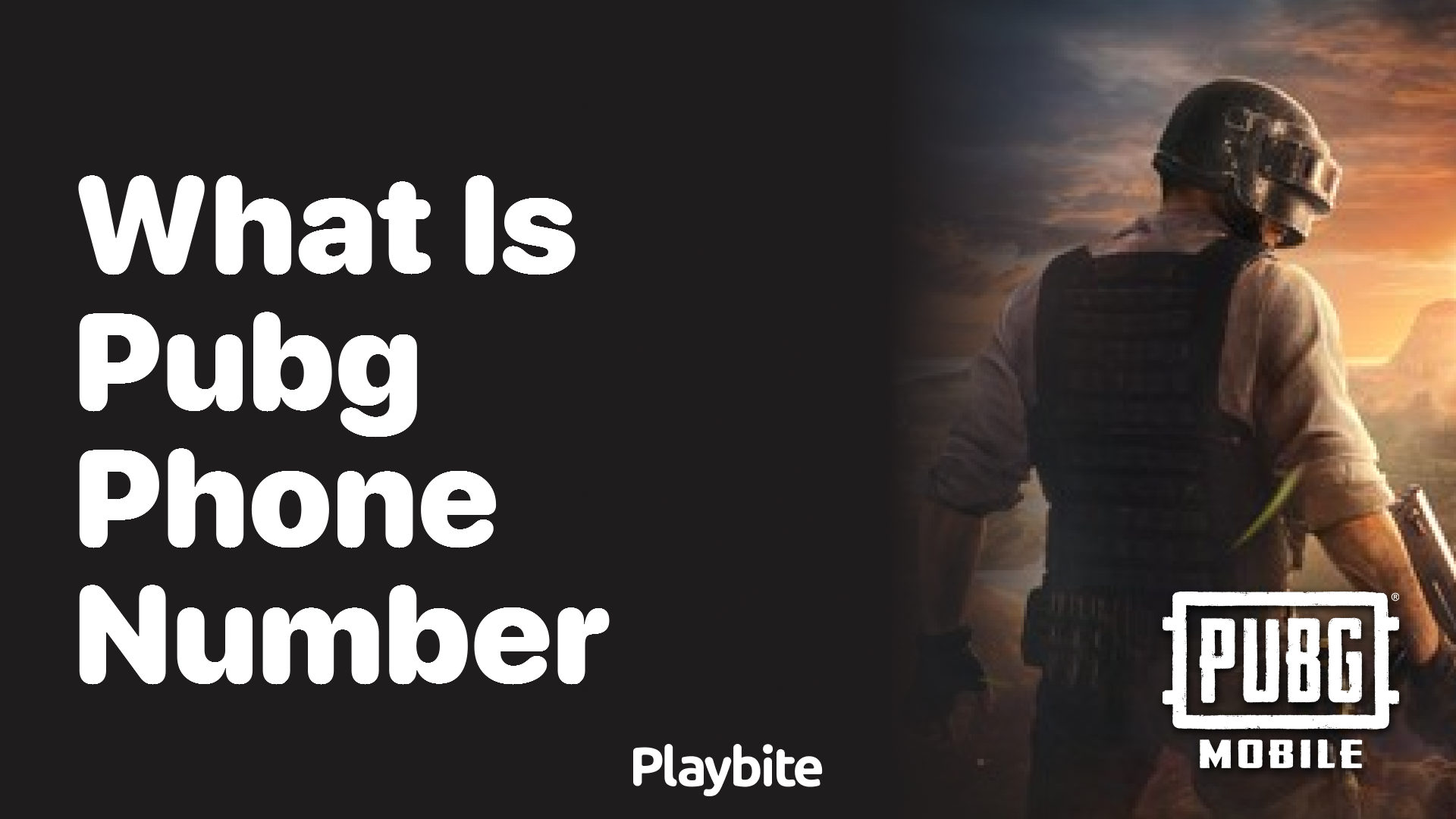 What Is PUBG&#8217;s Phone Number?