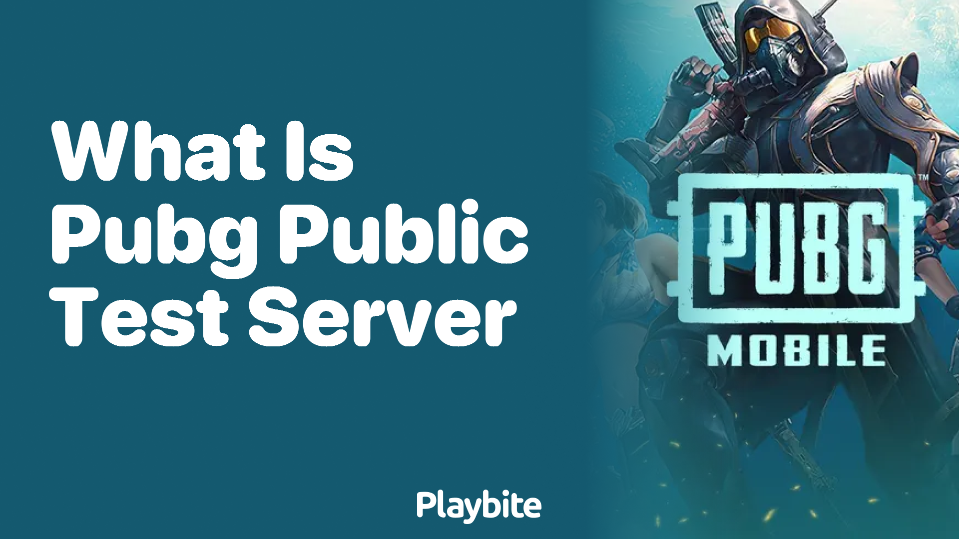 What Is PUBG Public Test Server?