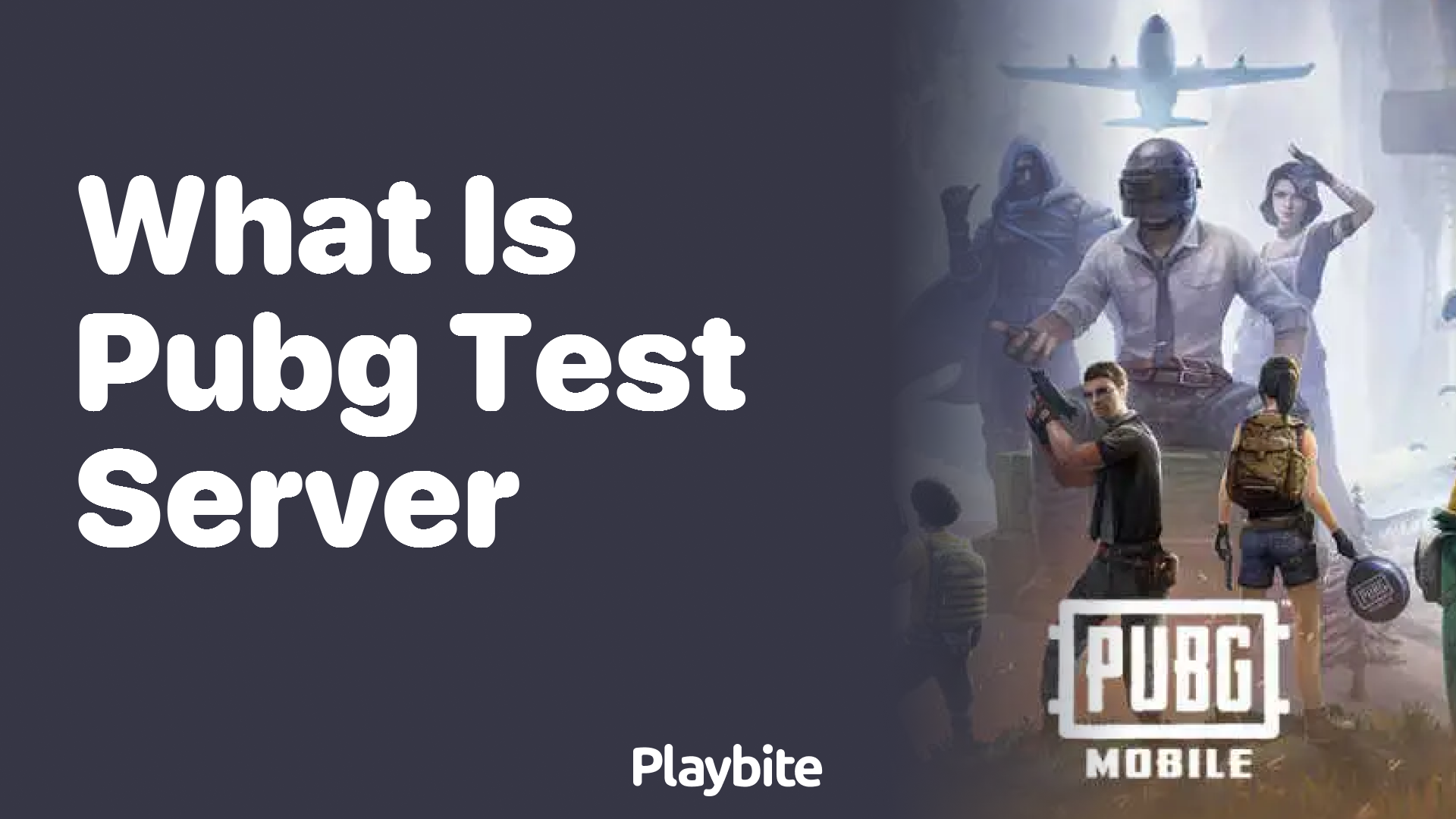 What is the PUBG Test Server? Exploring the Excitement!