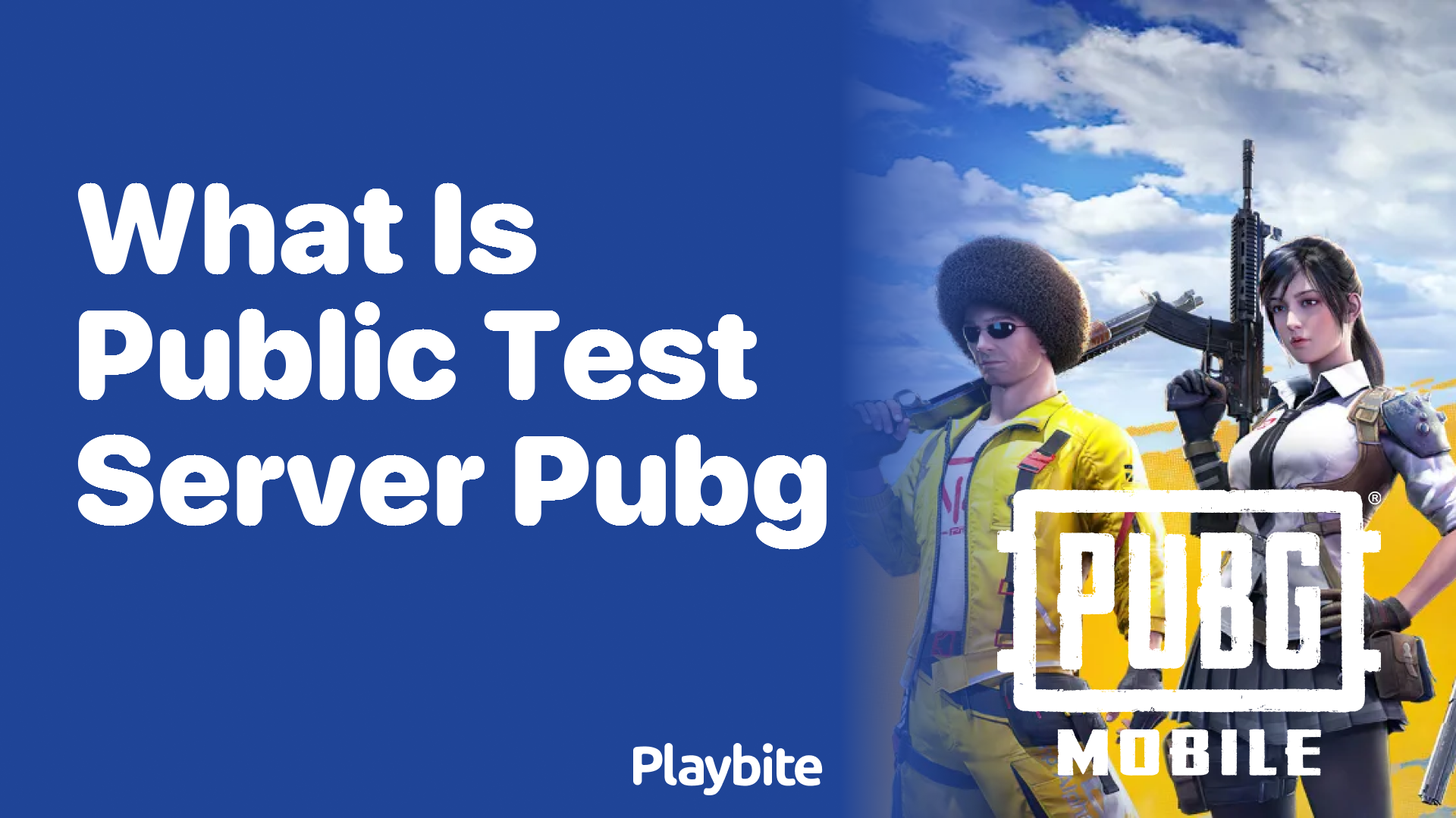 What is the Public Test Server in PUBG Mobile?