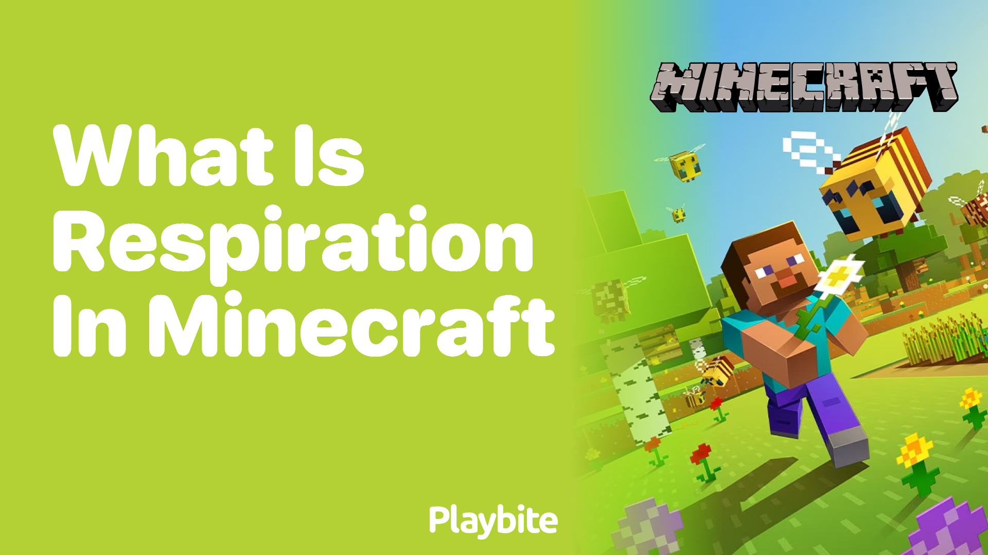 What Is Respiration in Minecraft?