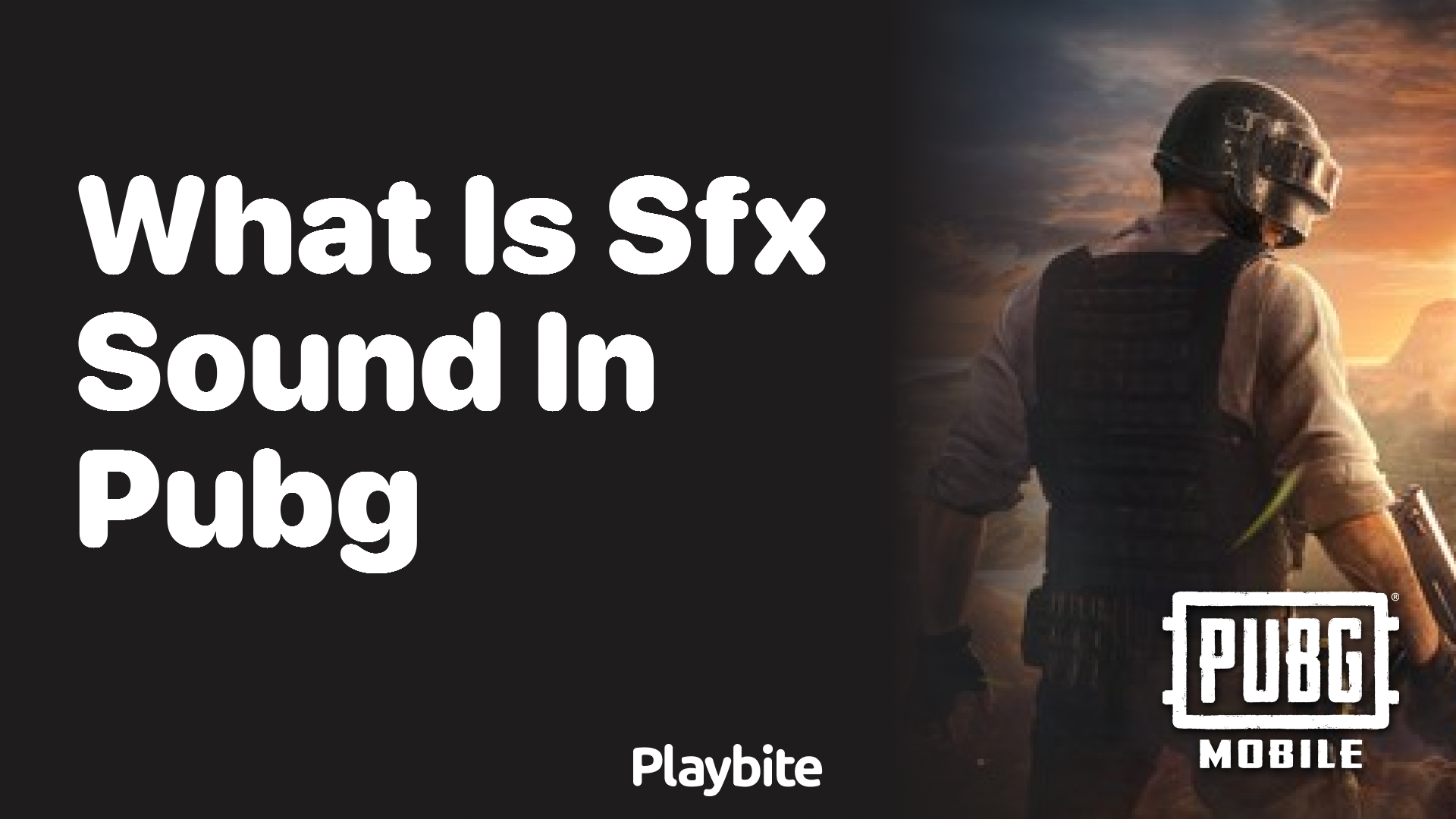 What Is SFX Sound in PUBG?