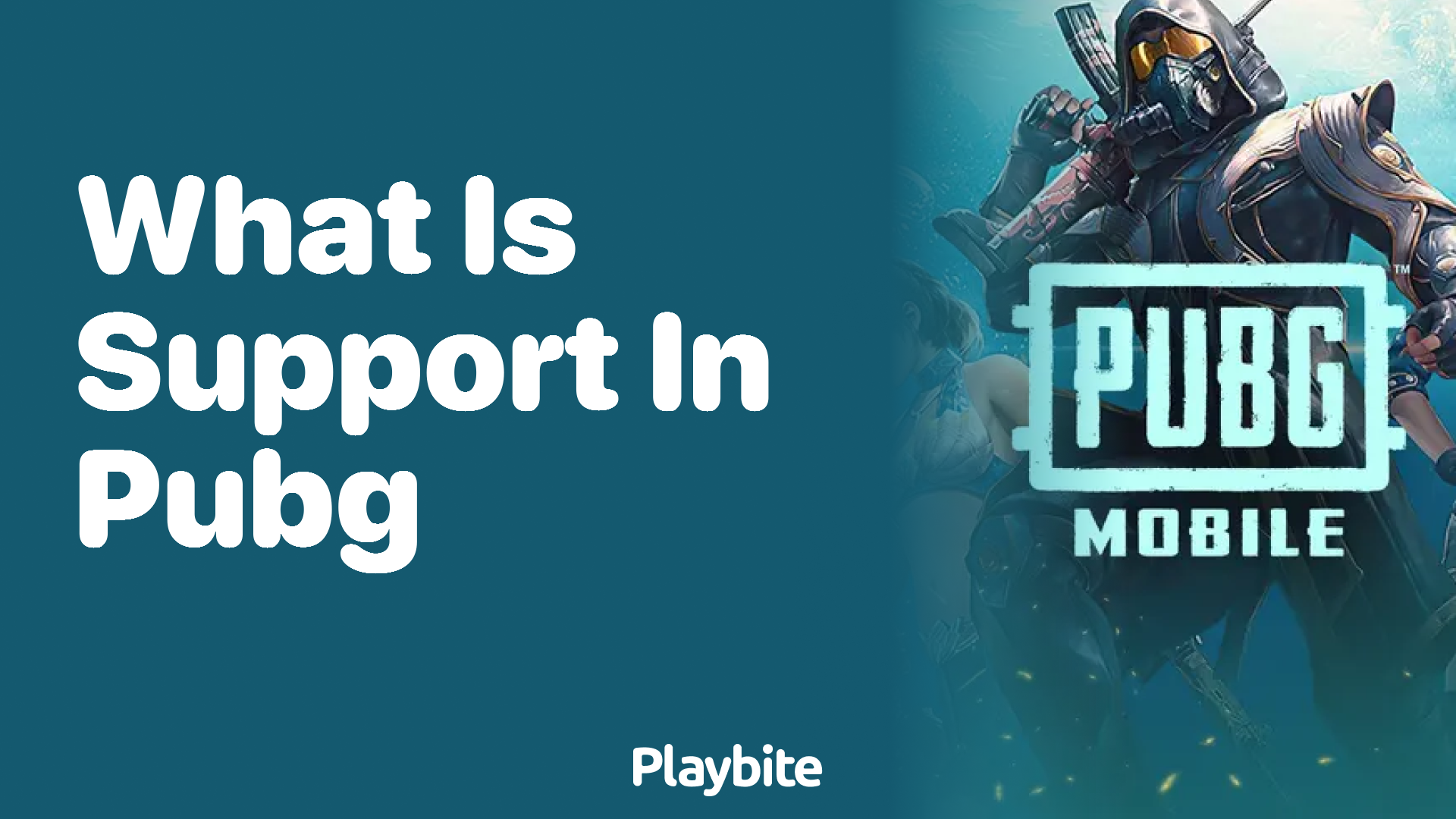 What is Support in PUBG Mobile?