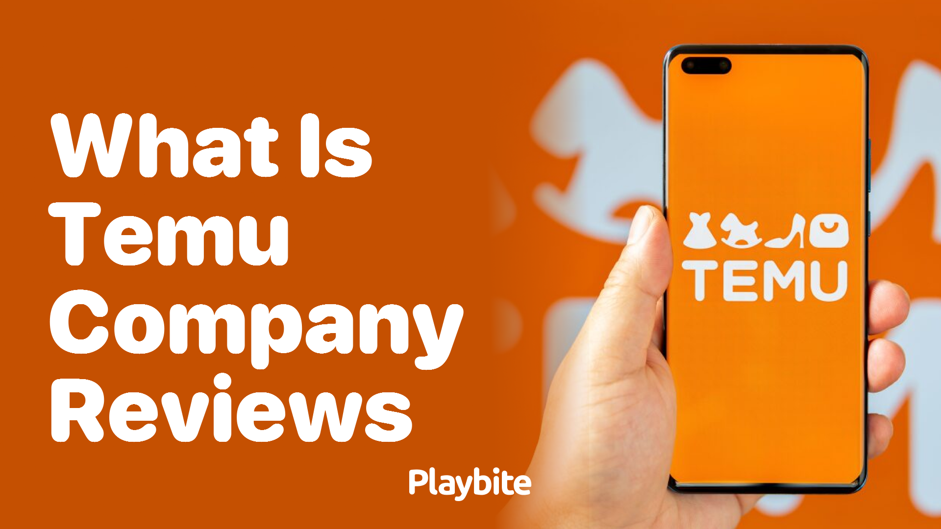 What Are Temu Company Reviews Like?