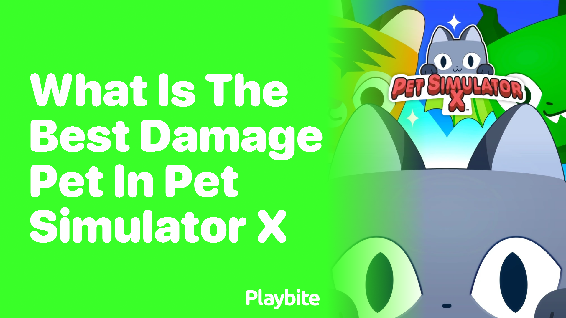 What is the Best Damage Pet in Pet Simulator X?