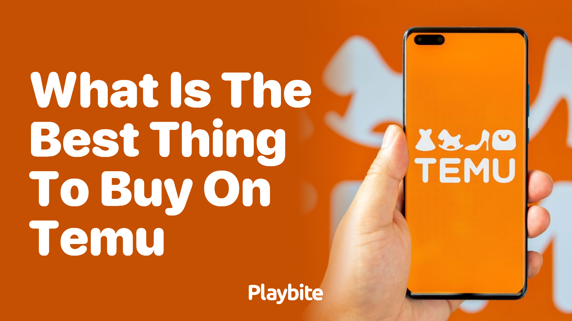 What Is the Best Thing to Buy on Temu?