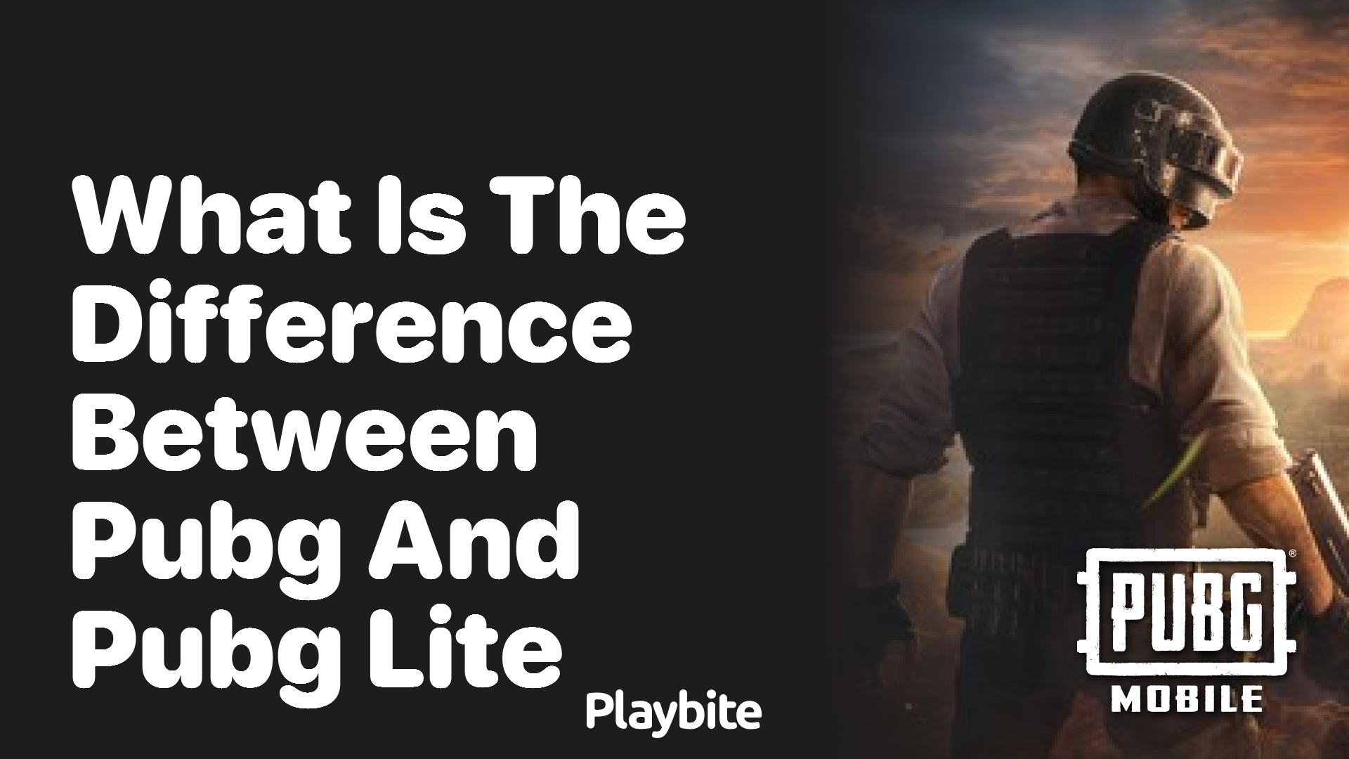 What Is the Difference Between PUBG and PUBG Lite?