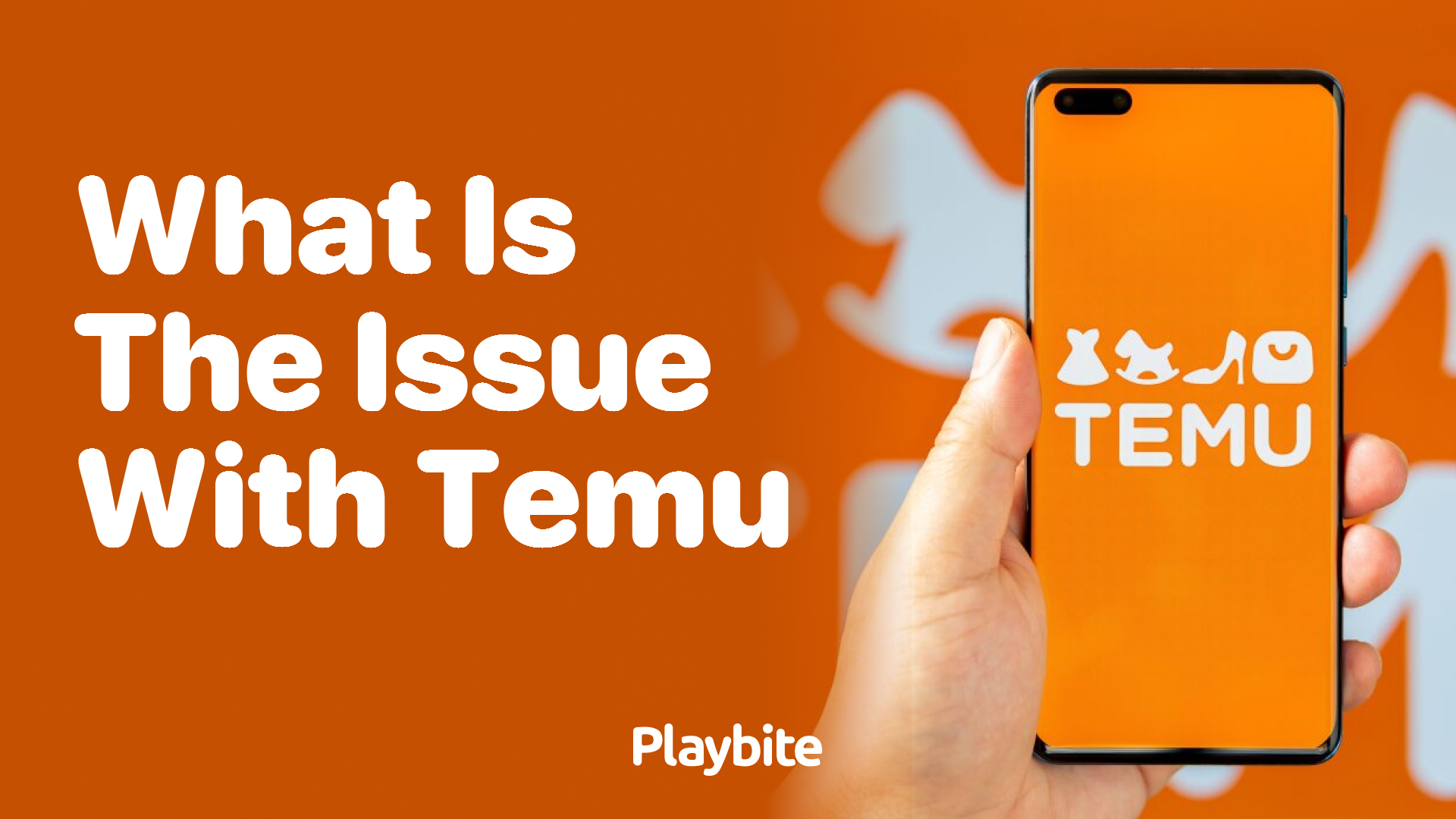 What&#8217;s the Issue with Temu? Let&#8217;s Explore the Facts!