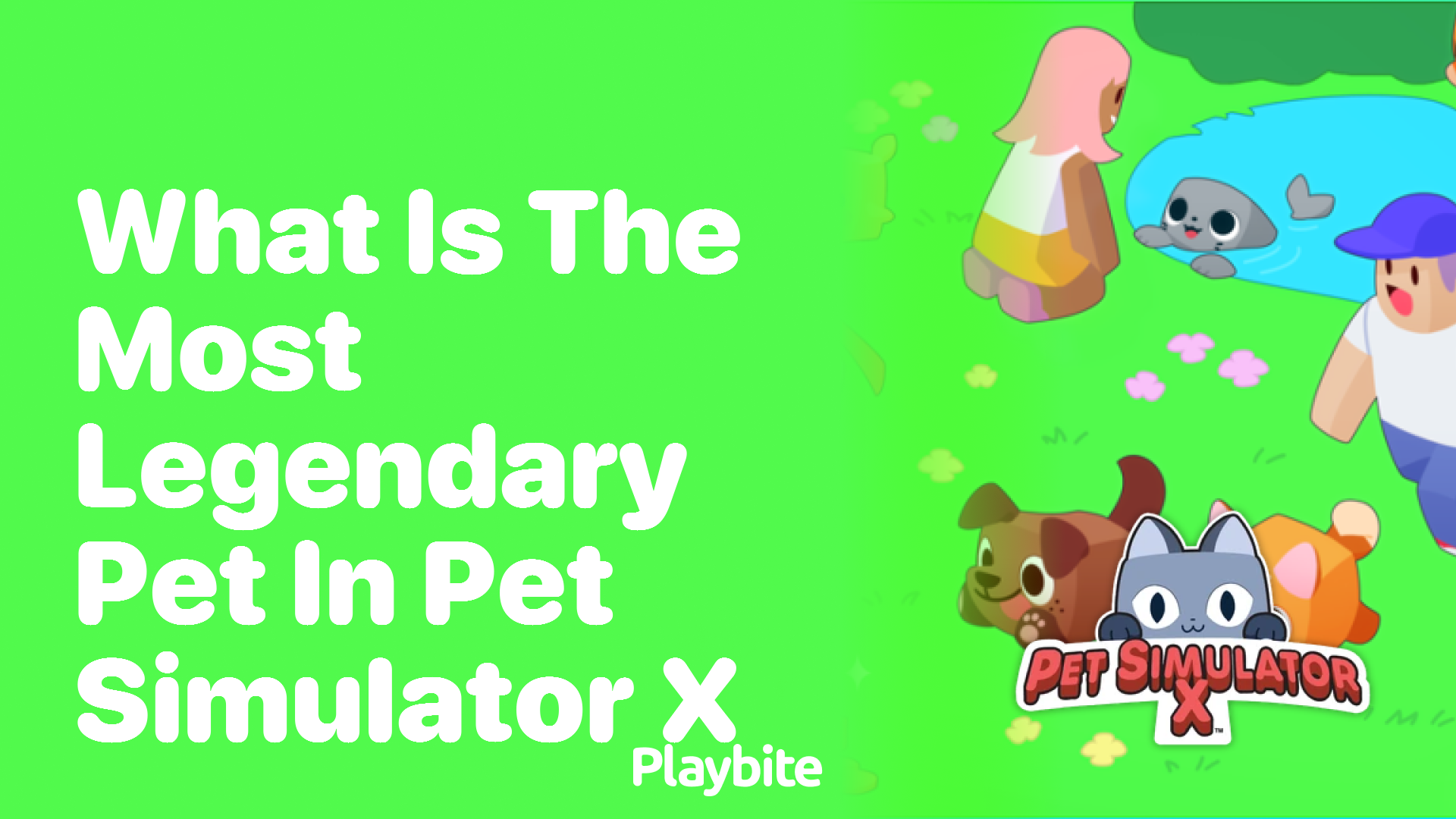 Discovering the most legendary pet in Pet Simulator X