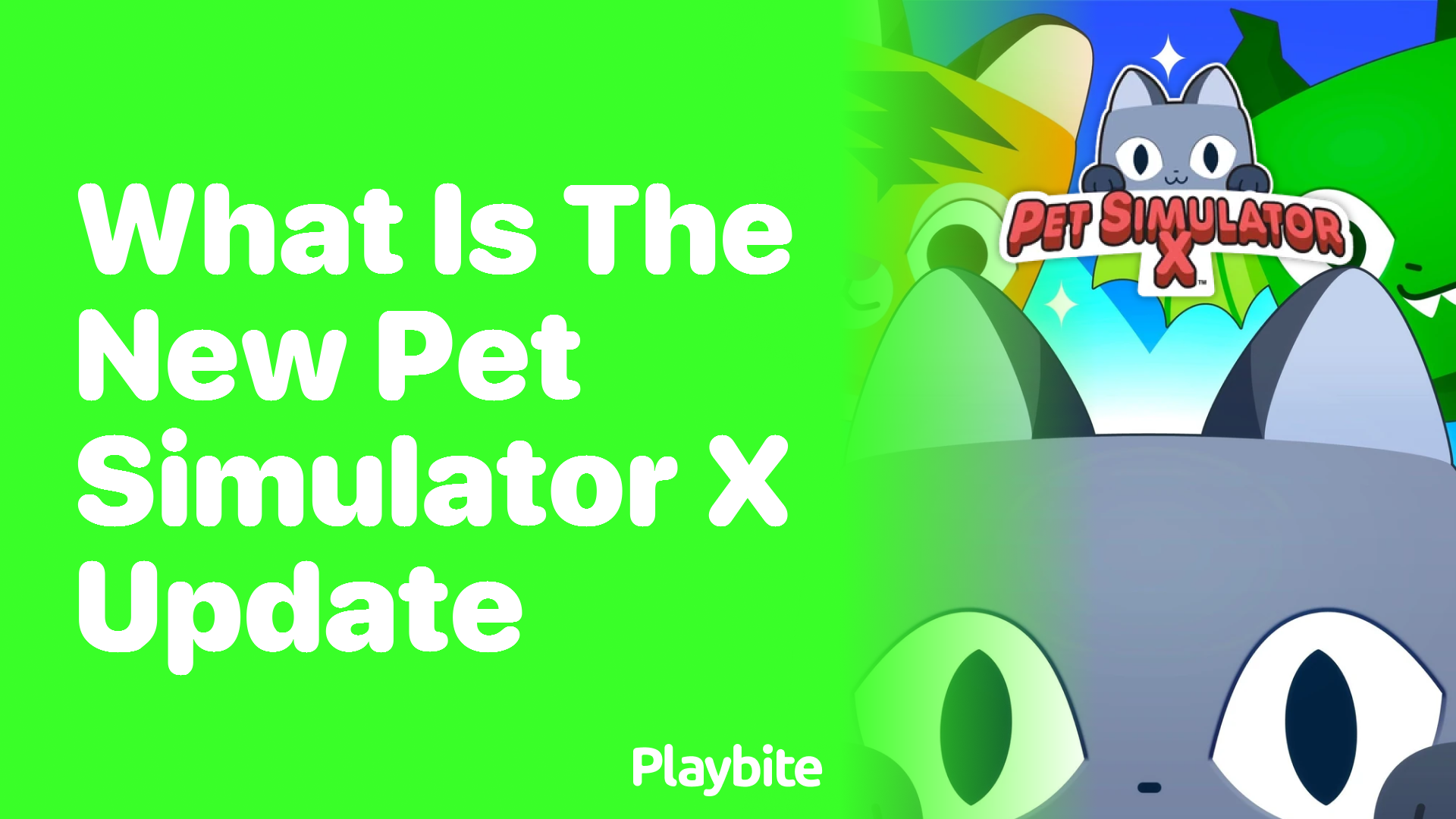 What&#8217;s the Latest Update in Pet Simulator X?