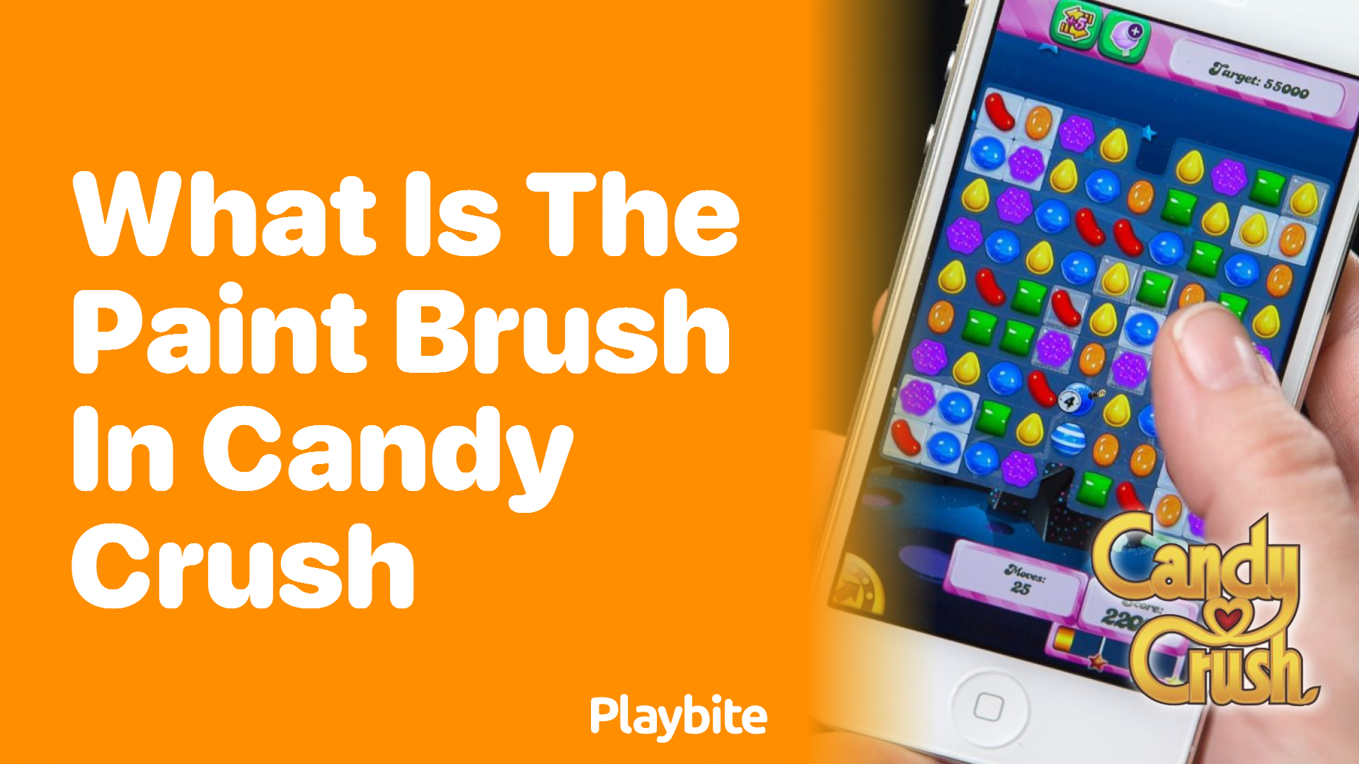 What is the Paint Brush in Candy Crush?