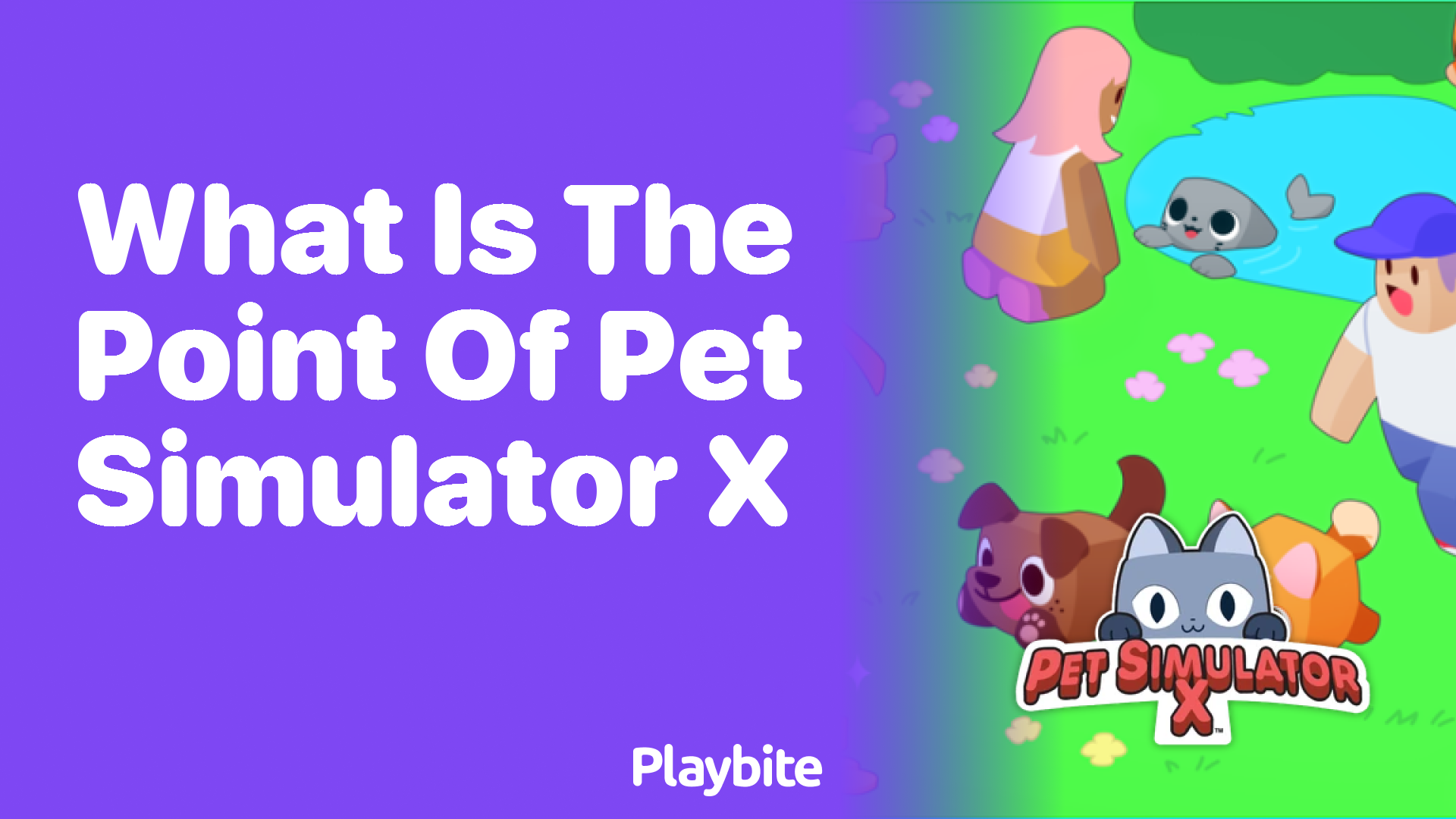 What is the Point of Playing Pet Simulator X?