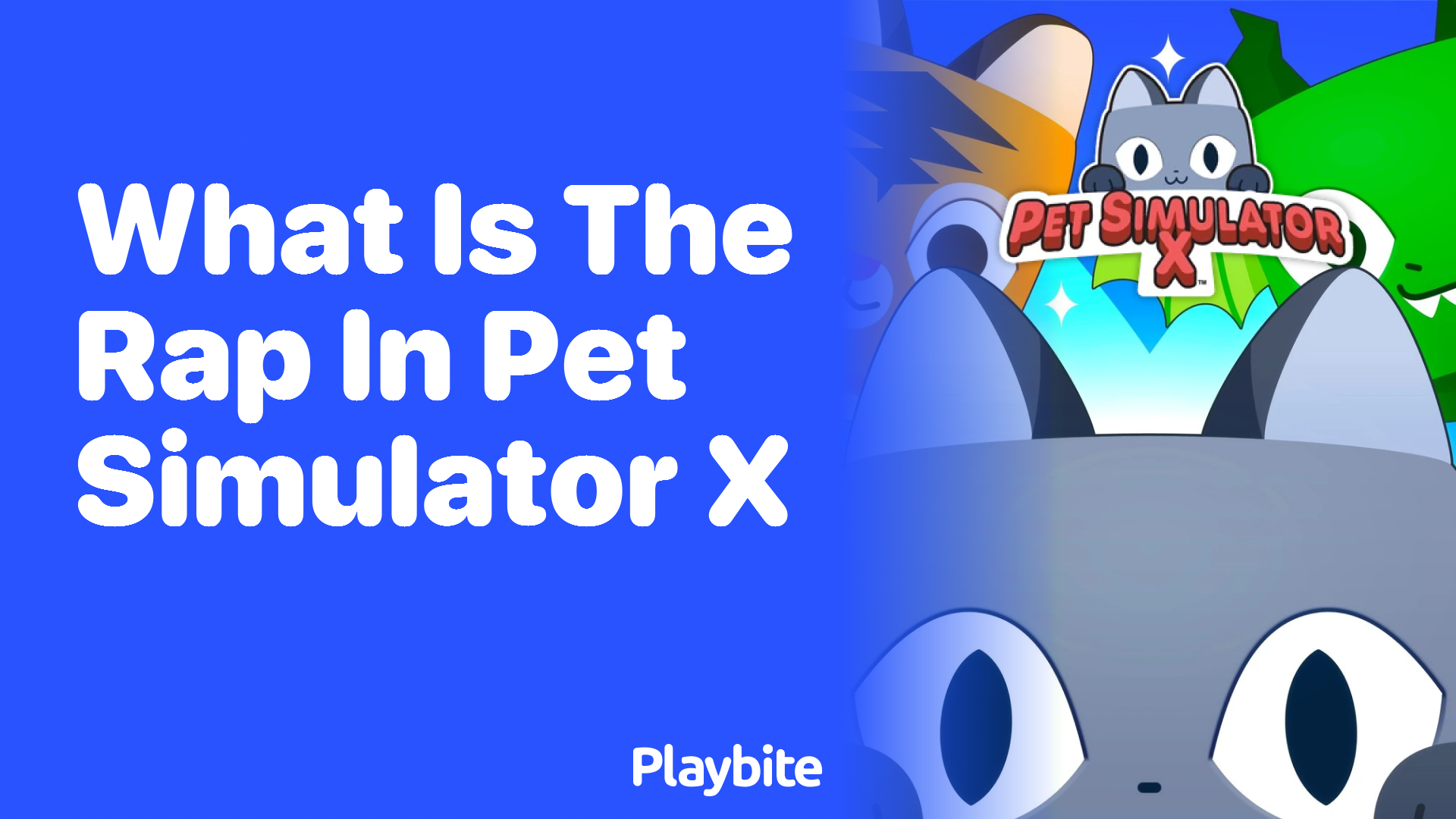 What is the RAP in Pet Simulator X?