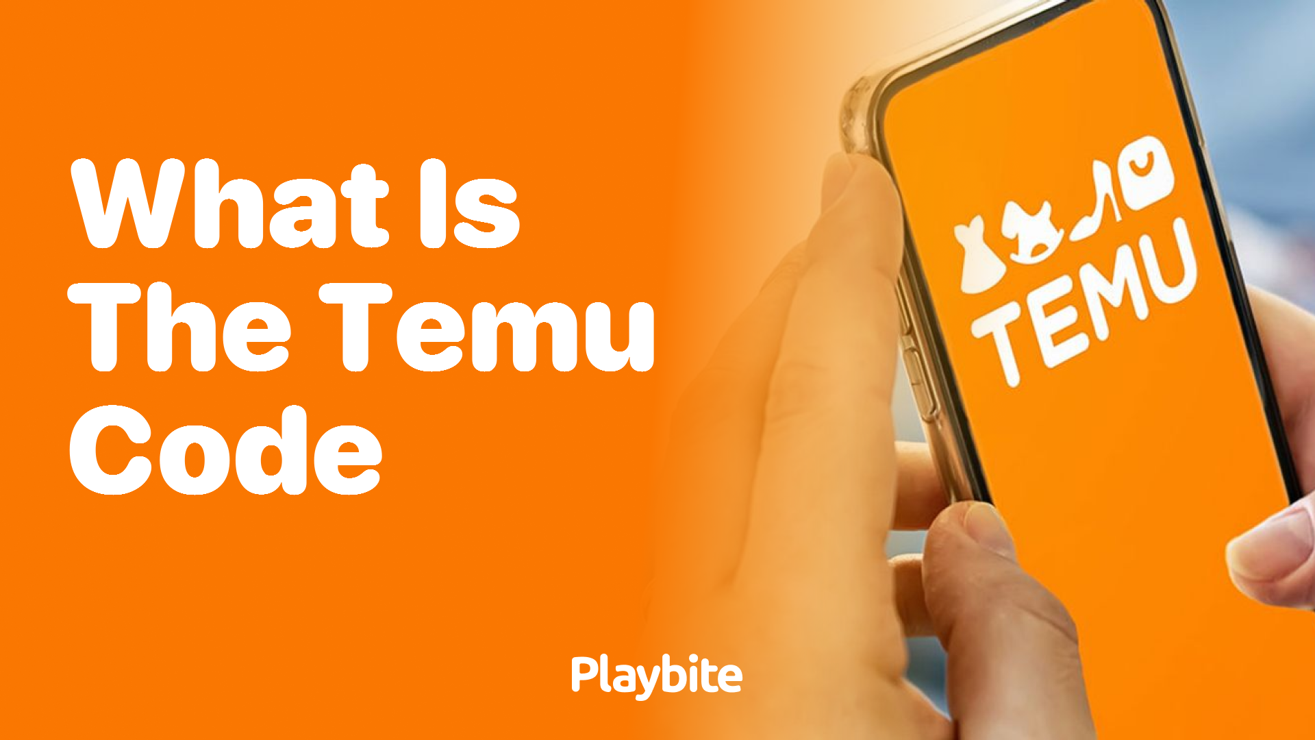 What is the Temu Code? Unwrapping the Mystery