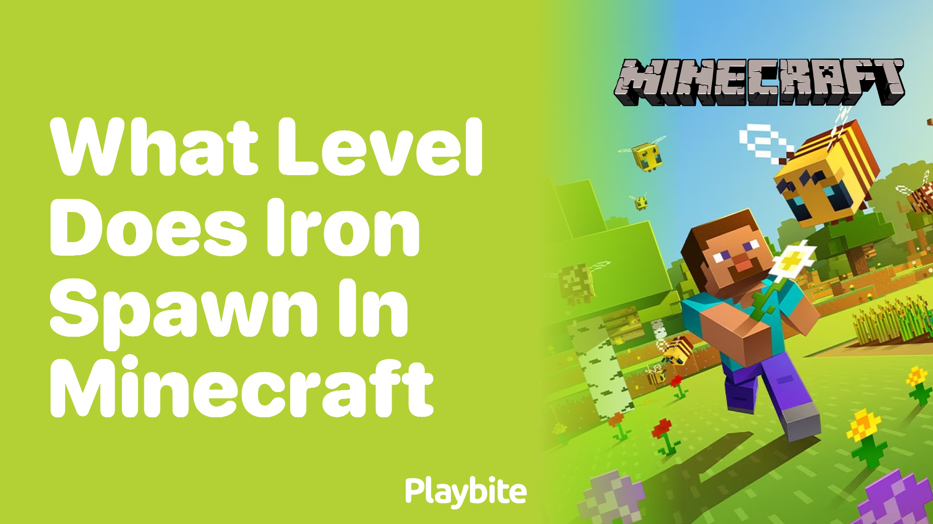 what-level-does-iron-spawn-in-minecraft-playbite