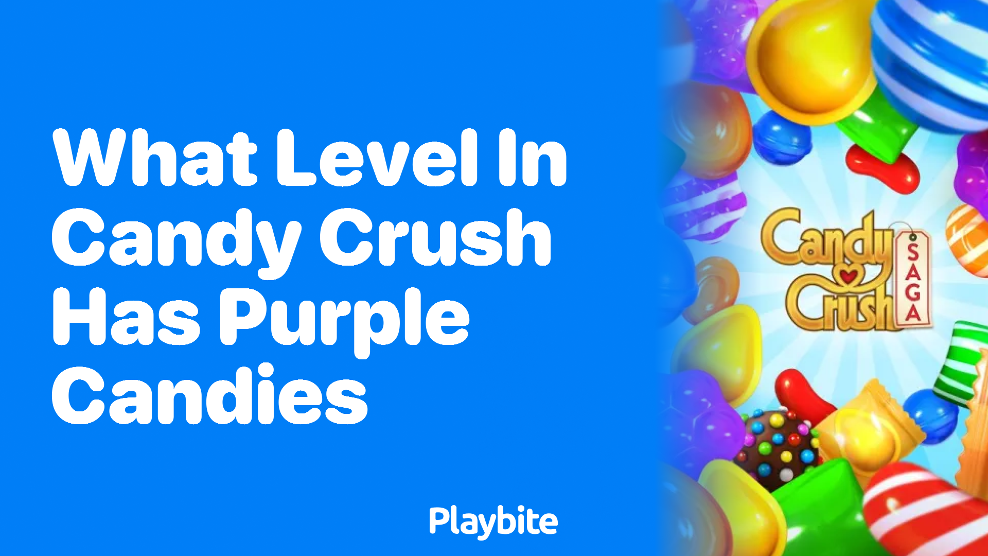 What Level in Candy Crush Has Purple Candies?