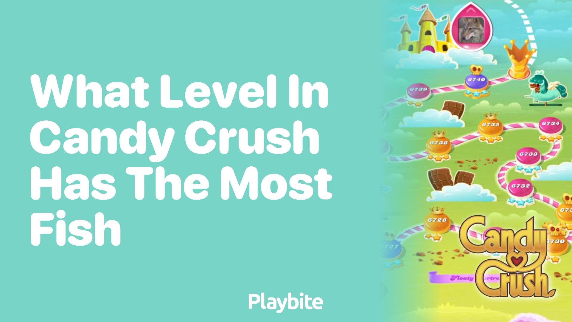 What Level in Candy Crush Has the Most Fish? Let&#8217;s Dive In!