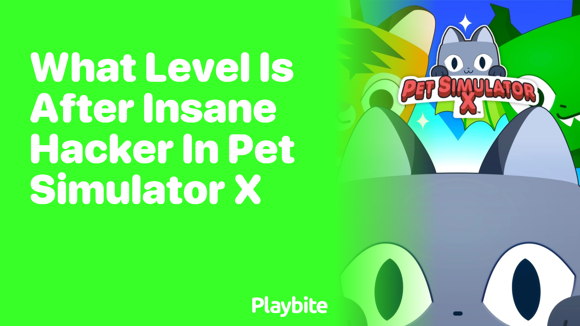 What Level Comes After Insane Hacker in Pet Simulator X?