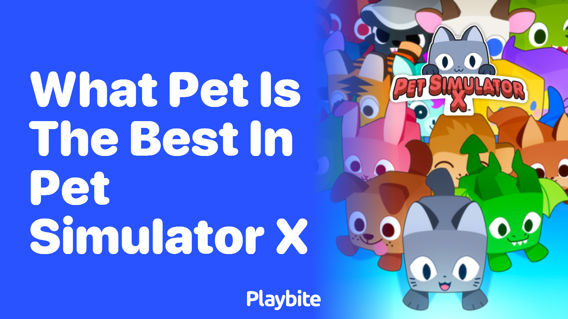 Discovering the Best Pet in Pet Simulator X