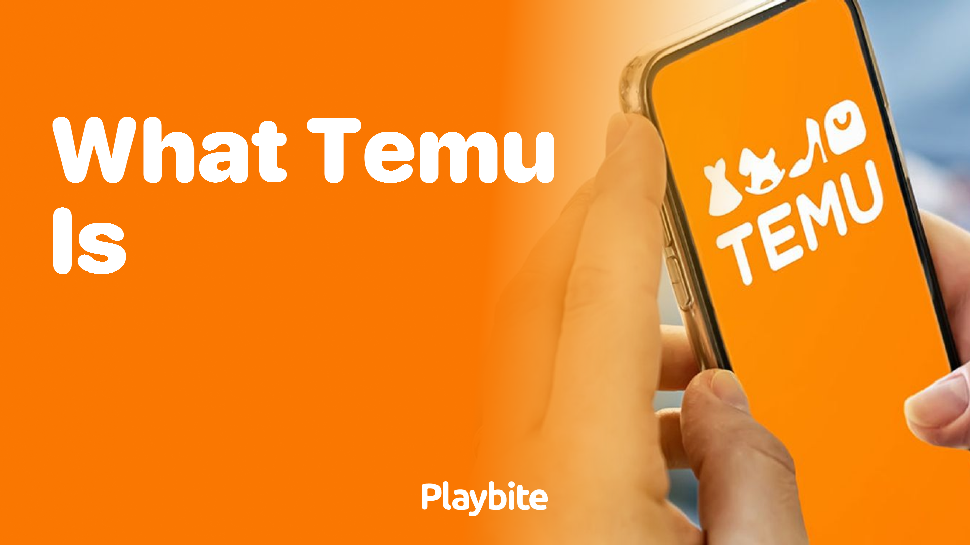 What Is Temu and Why Is It So Popular?