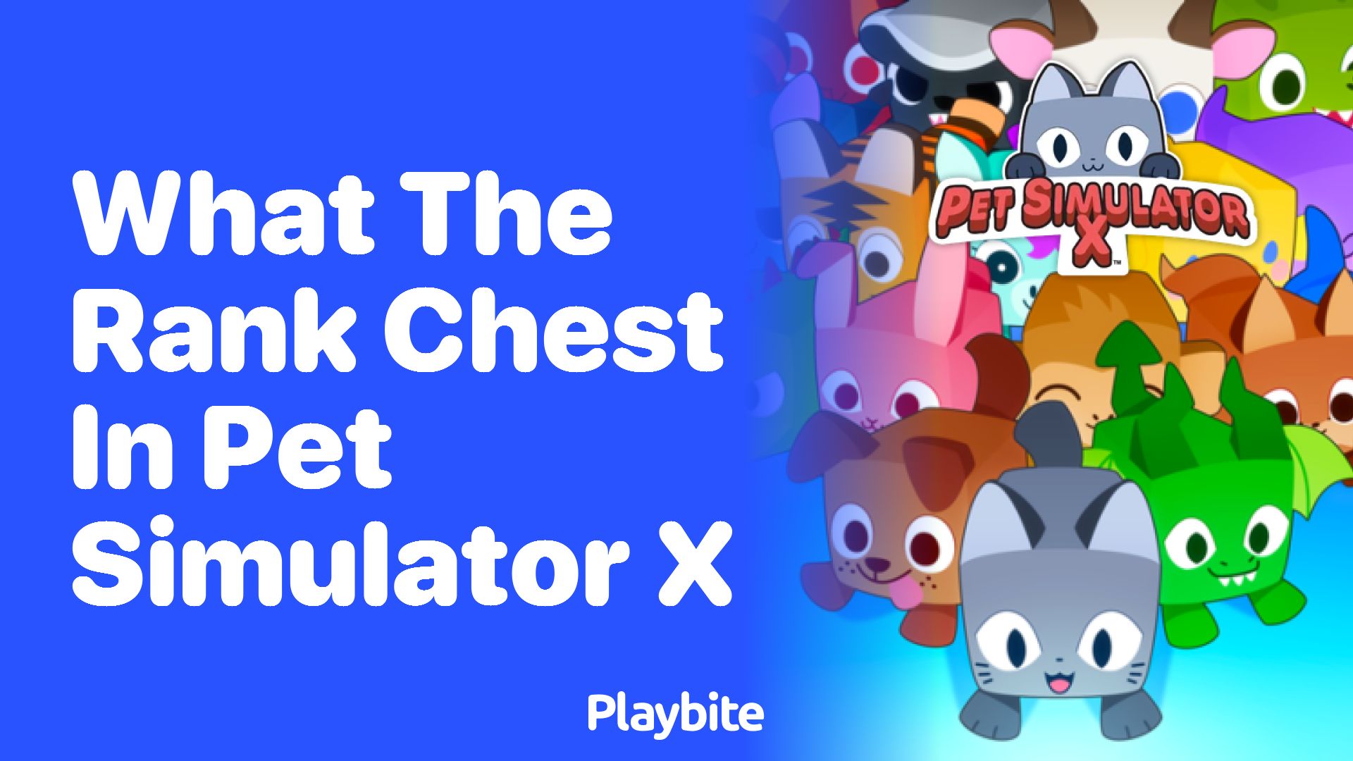 What is the Rank Chest in Pet Simulator X?