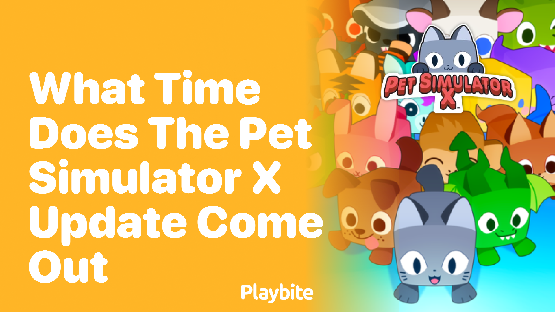 What Time Does the Pet Simulator X Update Come Out?
