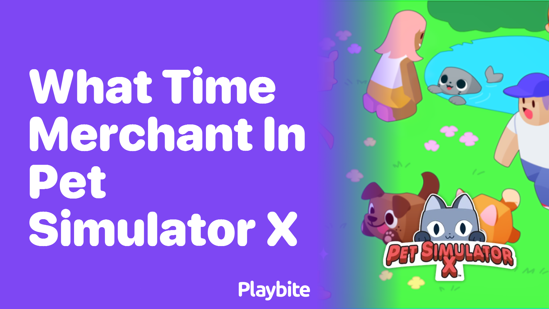 What Time Does the Merchant Appear in Pet Simulator X?