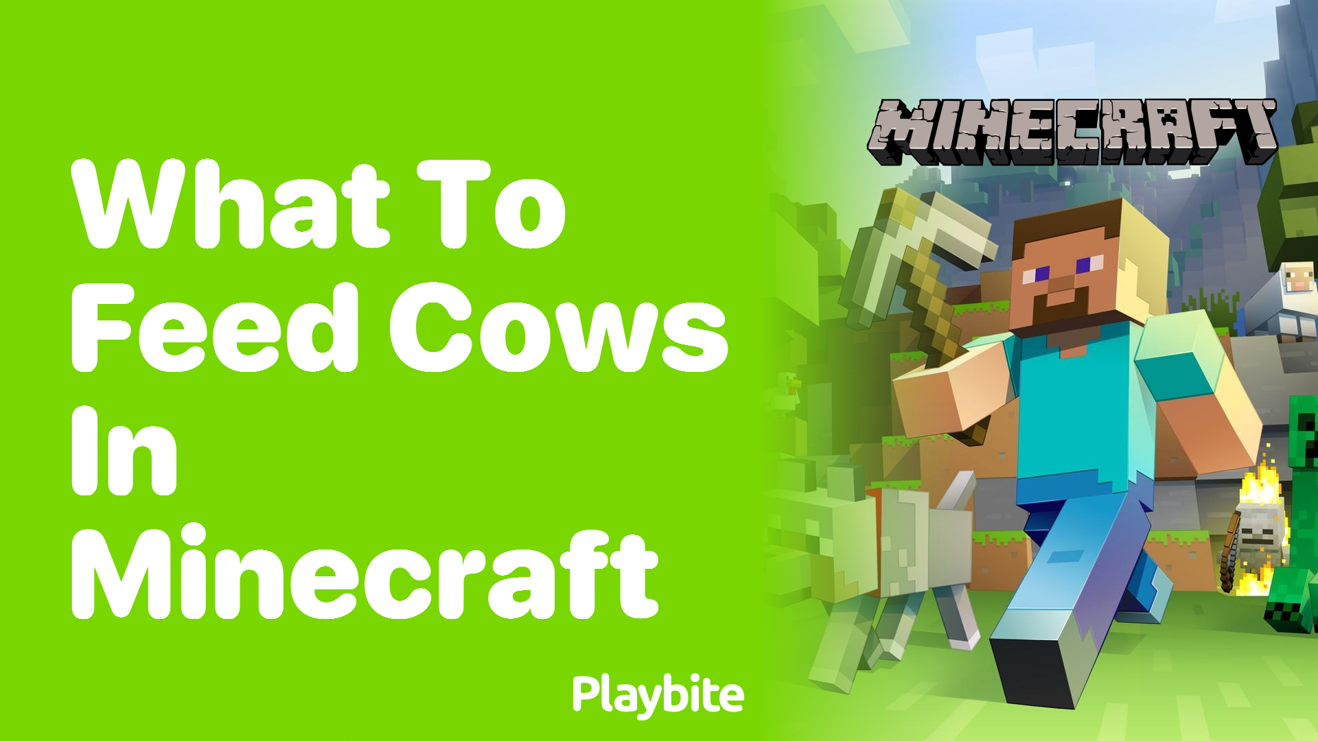 What to Feed Cows in Minecraft: A Quick Guide