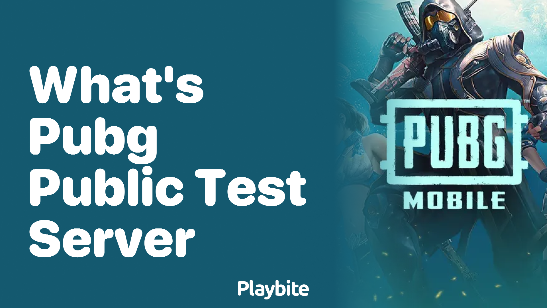 What&#8217;s PUBG Public Test Server? Explained