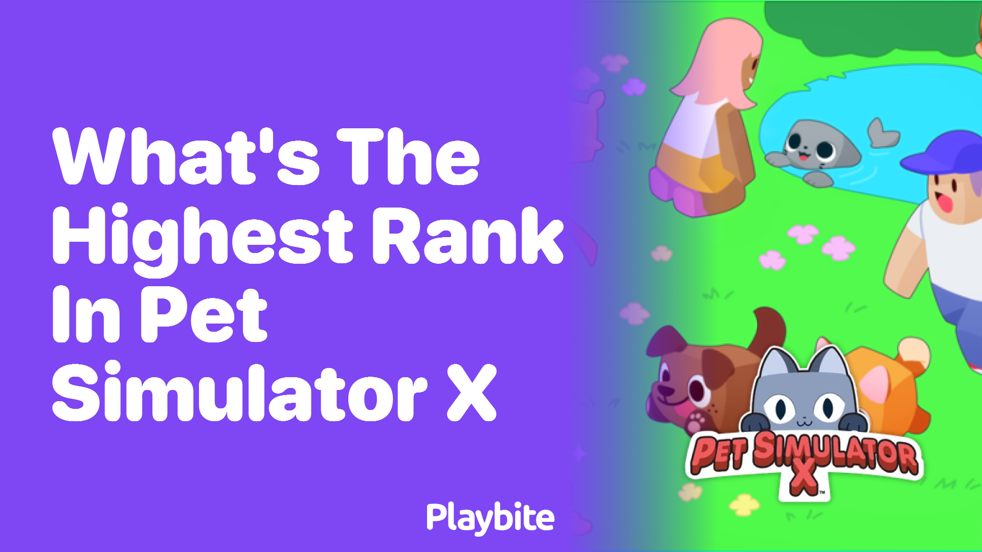 Discovering the Highest Rank in Pet Simulator X