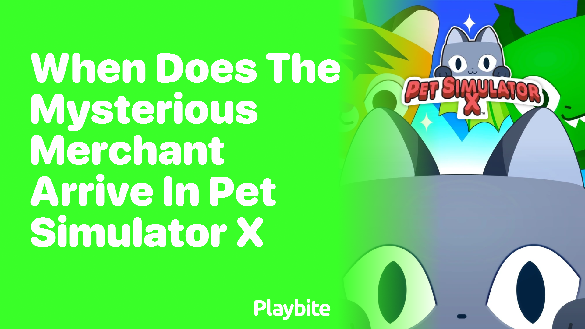 When does the Mysterious Merchant Arrive in Pet Simulator X?