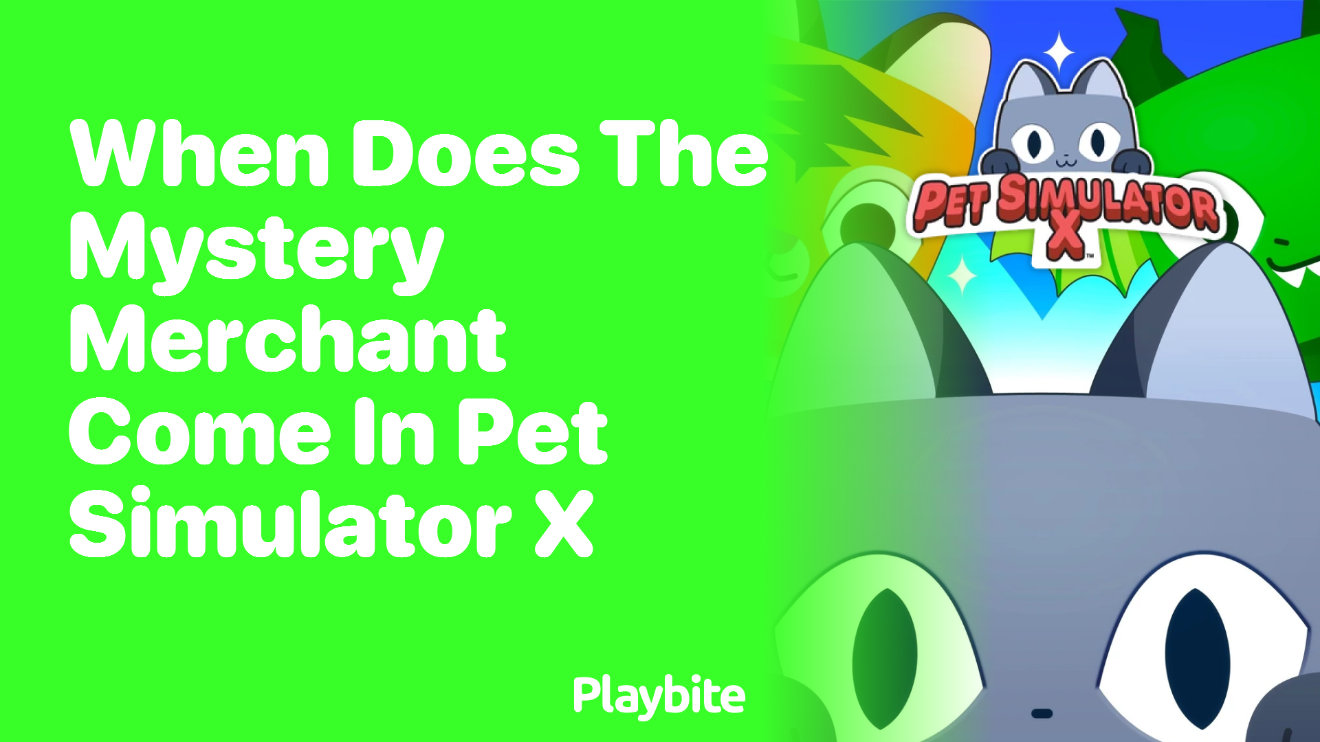 When does the mystery merchant come in Pet Simulator X?