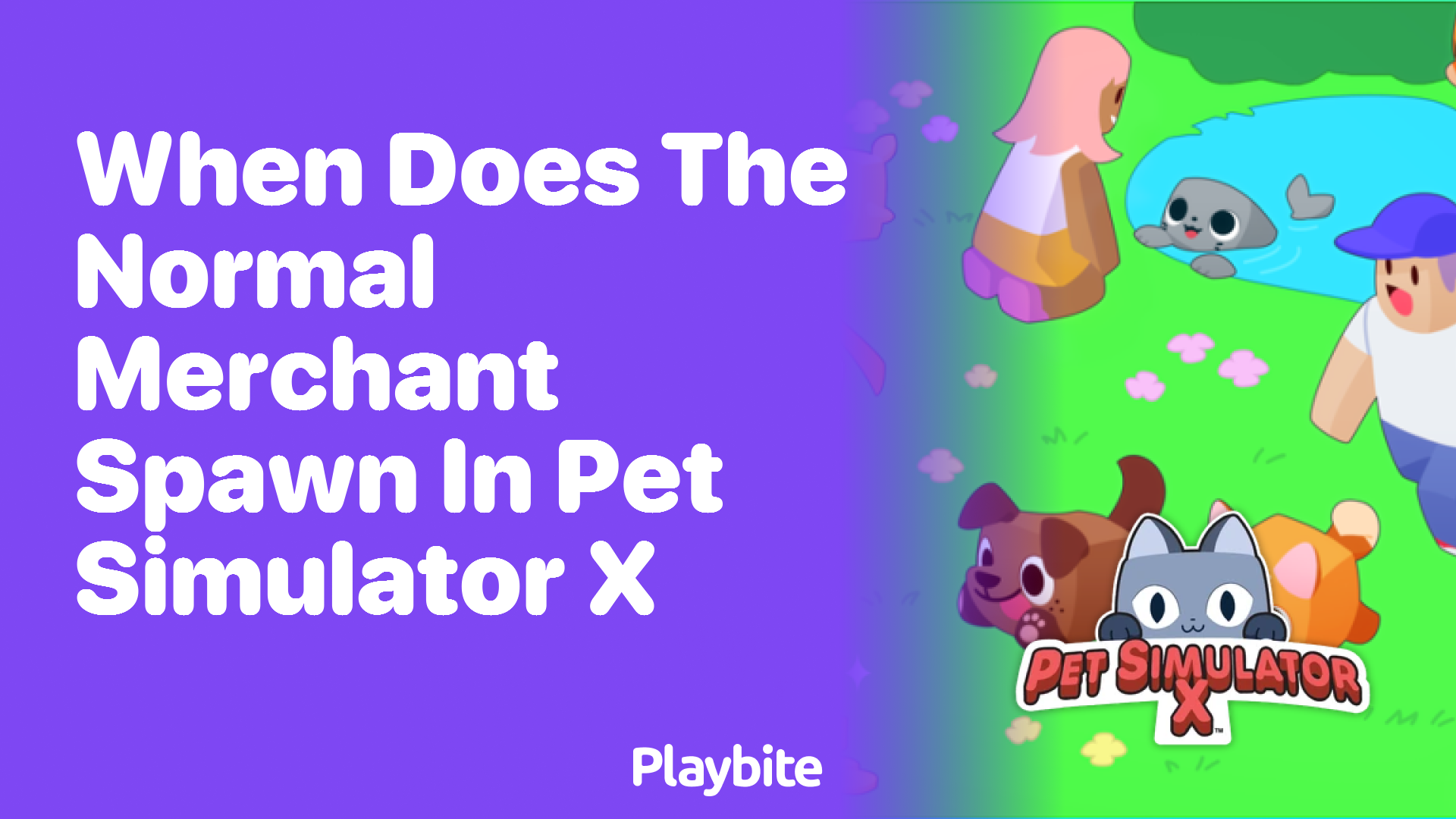 When does the Normal Merchant spawn in Pet Simulator X?