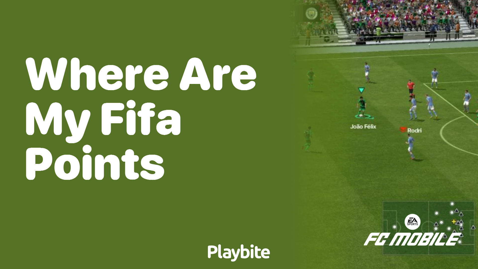 Lost Your FIFA Points? Find Out Where They Are!