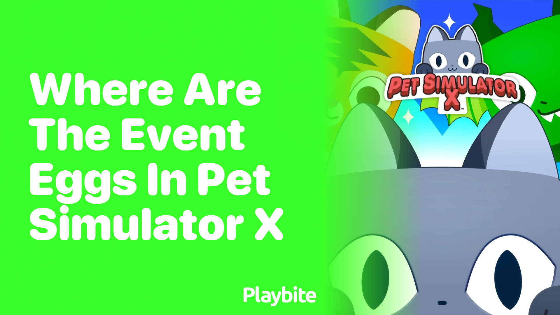 Discovering the Location of Event Eggs in Pet Simulator X