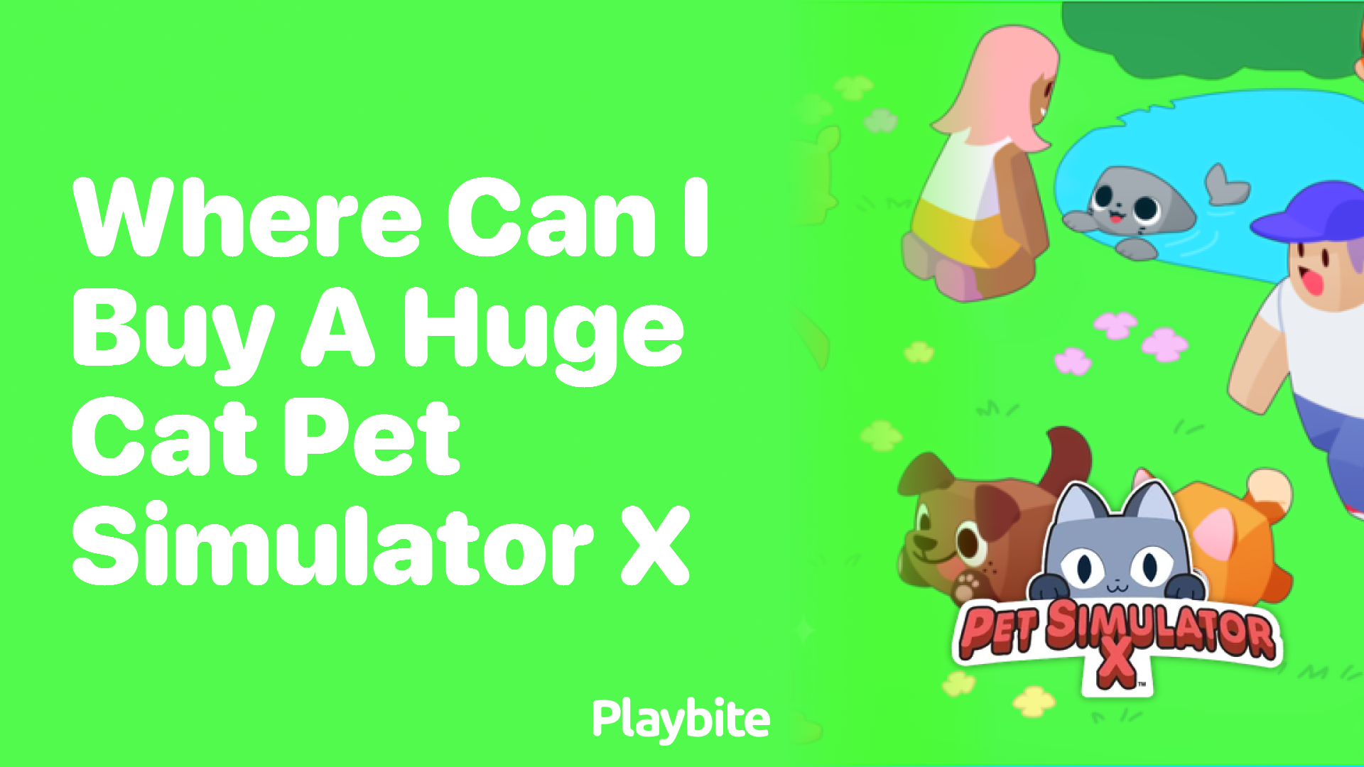 Where Can I Buy a Huge Cat in Pet Simulator X?