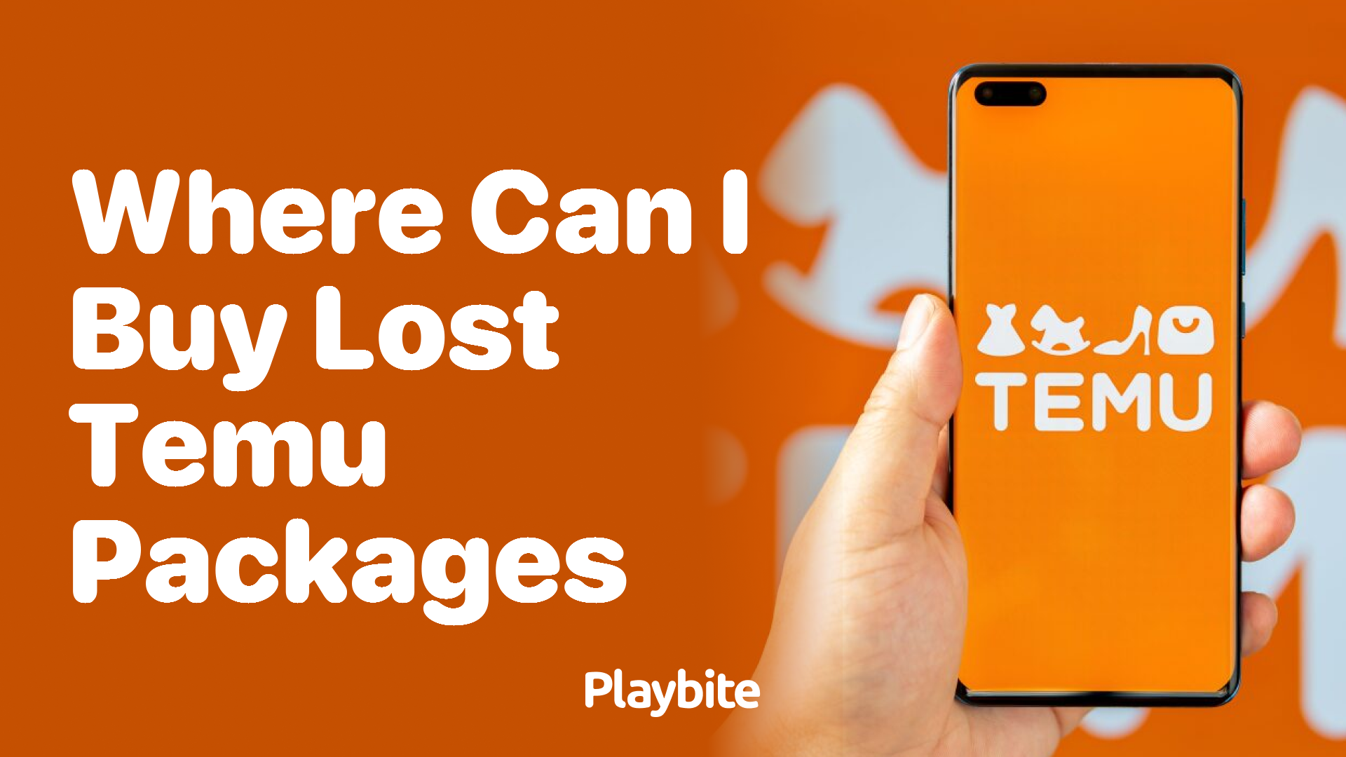 Where Can I Buy Lost Temu Packages?