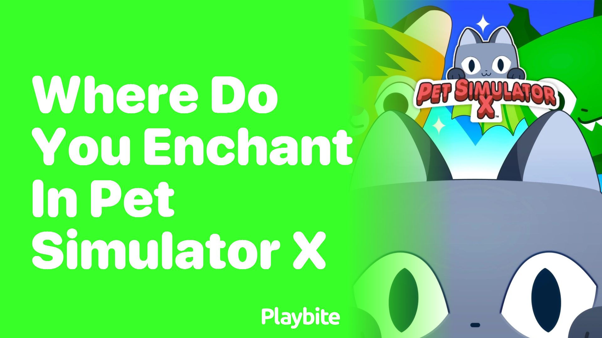 Where do you enchant in Pet Simulator X?