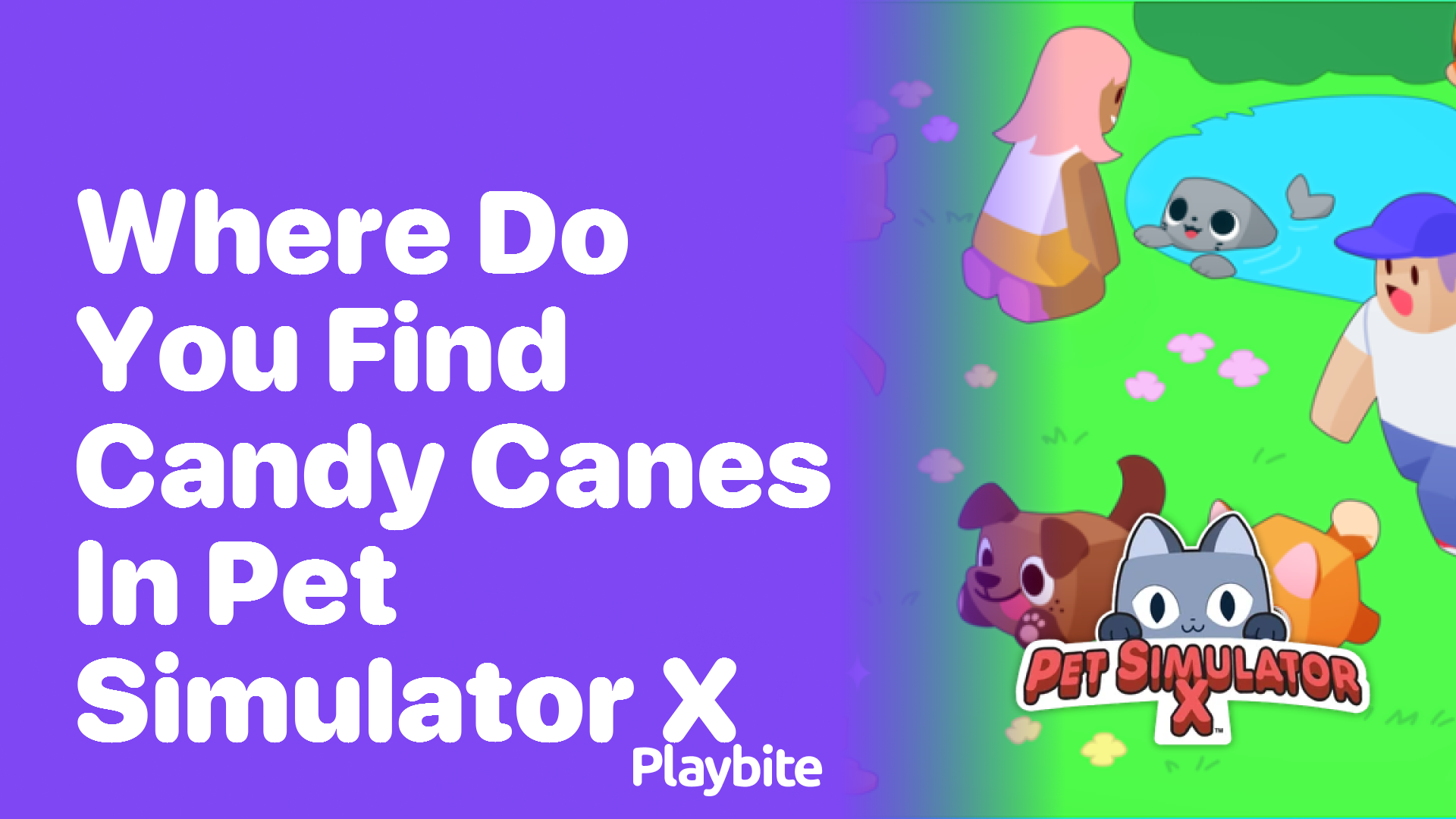 Where do you find candy canes in Pet Simulator X?