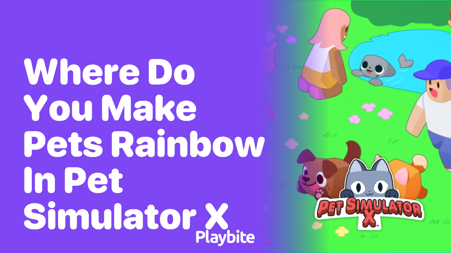 Where Do You Make Pets Rainbow in Pet Simulator X?