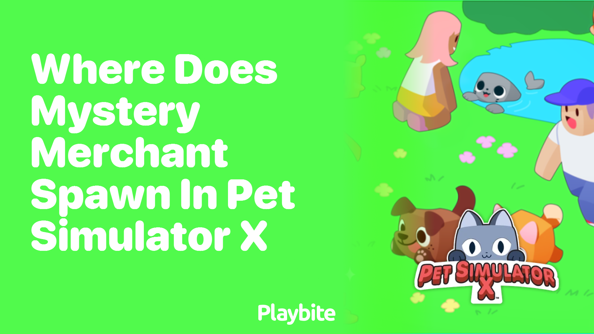 Where does the Mystery Merchant Spawn in Pet Simulator X?