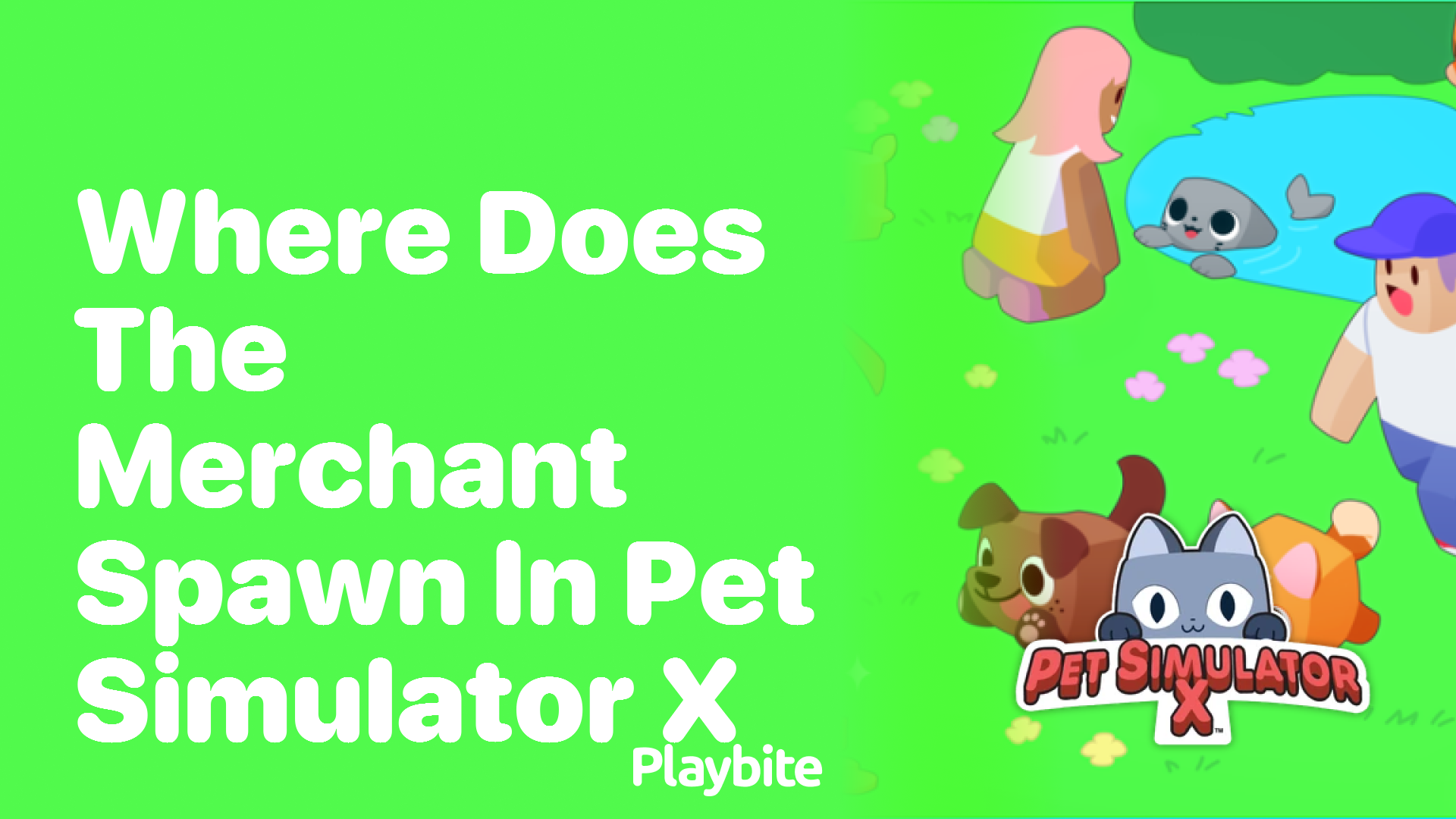 Where Does the Merchant Spawn in Pet Simulator X?