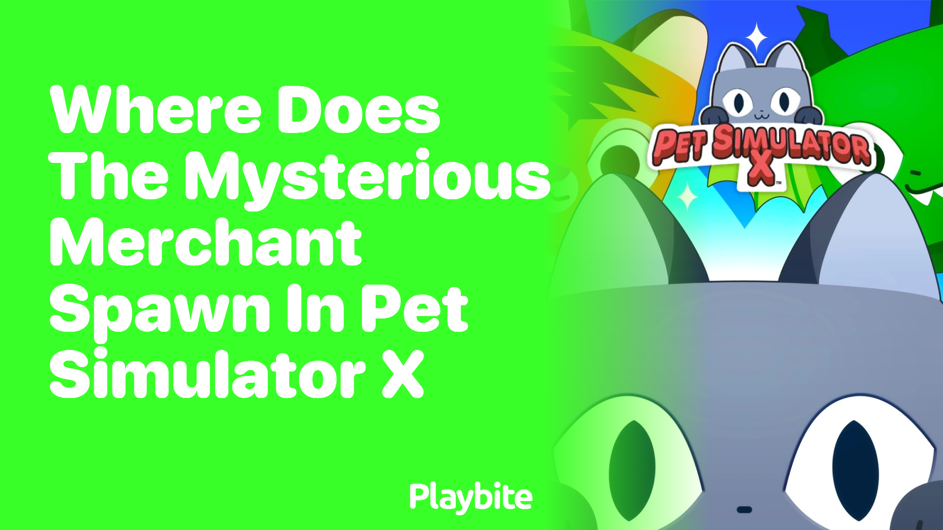 Where does the Mysterious Merchant Spawn in Pet Simulator X?